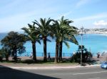 palm-trees-and-the-blue-blue-sea